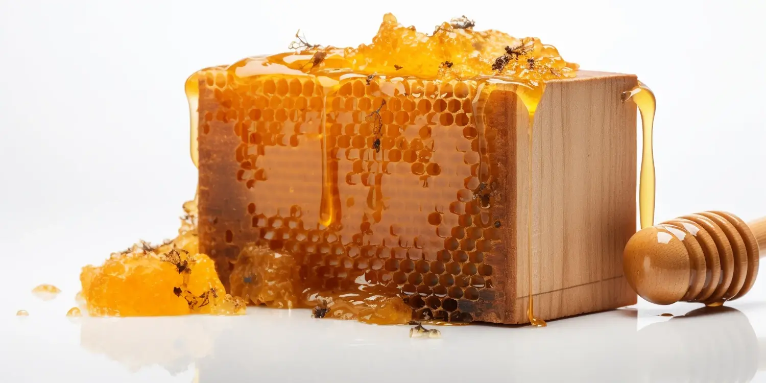 Gdzie kupić miód spadziowy margonem?